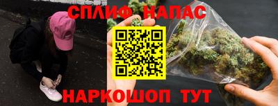 дмт Аргун