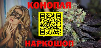 дмт Аргун