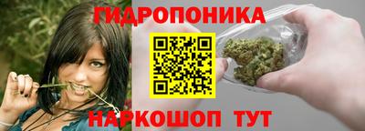 дмт Аргун