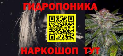 дмт Аргун