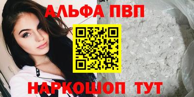 дмт Аргун